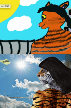 14.png