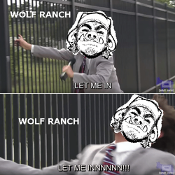 let-me-in-wolf-ranch.png