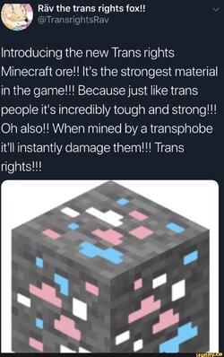 retarded AIDS nigger faggot street ordiment minecraft ore.jpg