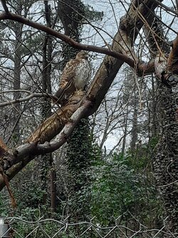 20210127_103051.jpg