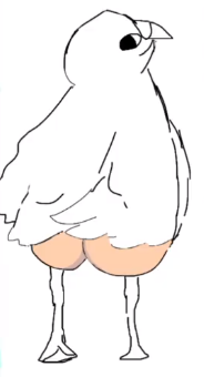 amebird.png