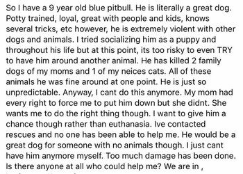 pits2.jpg