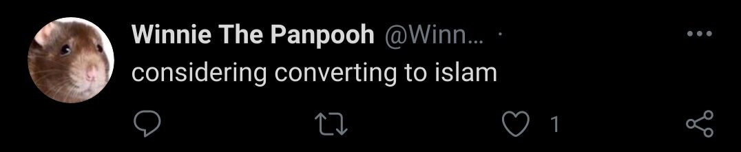 winniethemooslem3.jpg