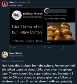 kitten.PNG