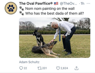 AF096328-7B5F-4681-8A28-6D4525DFB4DA.jpeg