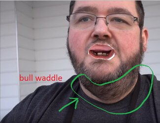 monkeytoothbulldwaddle.jpg