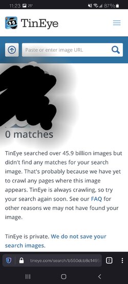 Screenshot_20210211-232354_Firefox.jpg