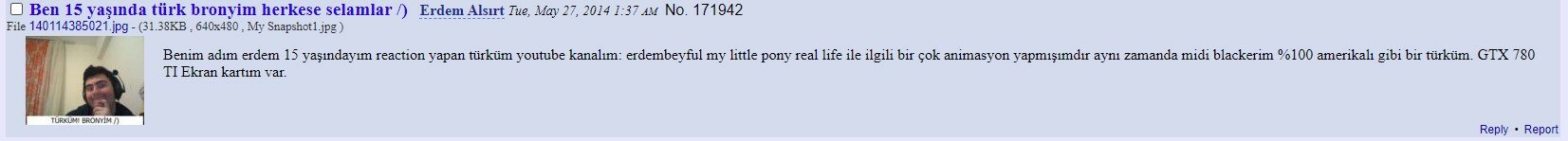 erdem mlp.jpg