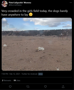 crowded.png