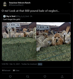 neg.png