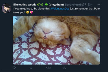 331F29C4-D702-4F98-99EC-9DCE58C2DA73.jpeg