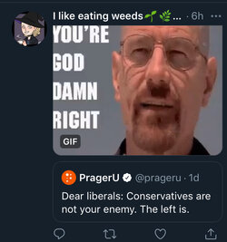 0EE90994-2A62-4387-84AC-BF7399774AE4.jpeg