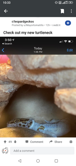 Screenshot_20210217-103339.png