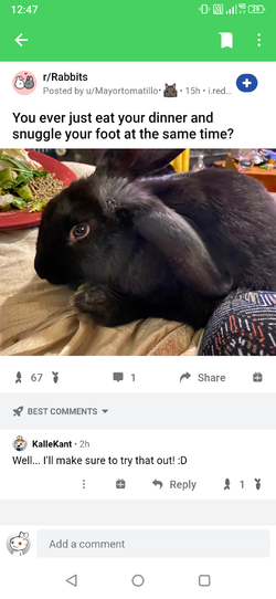 Screenshot_20210217-124729.png