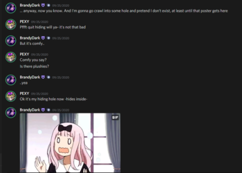 1613626111567.png