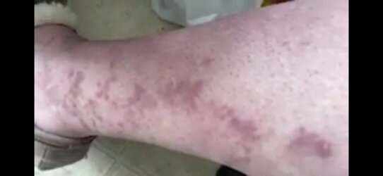 Screenshot_20210218_190416_com.google.android.youtube.jpg