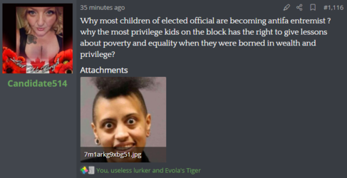 brave_wLUlpqCrCa.png