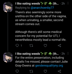 Screenshot_20210219-181803.png