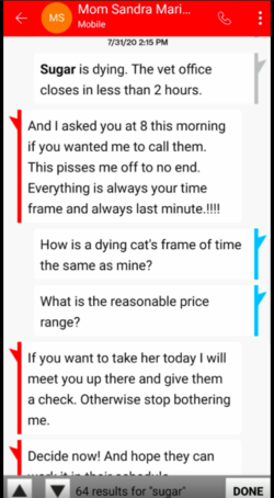 Screen Shot 2021-02-05 at 01.47.47.png
