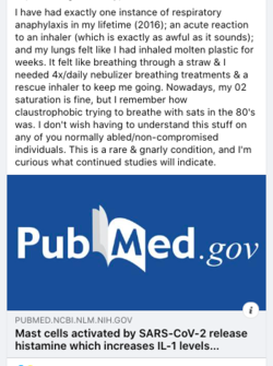 Screen Shot 2021-02-05 at 21.32.59.png