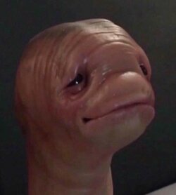 MSN_Earthworm.jpg