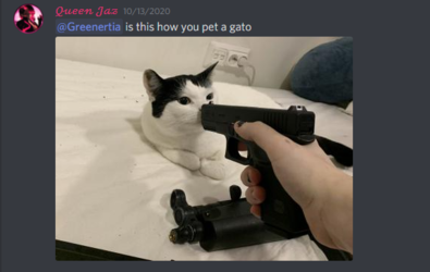 #📷irl-pics-n-pets_-_Google_Chrome_2021-02-23_03-23-08.png