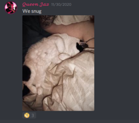 #📷irl-pics-n-pets_-_Google_Chrome_2021-02-23_03-25-29.png