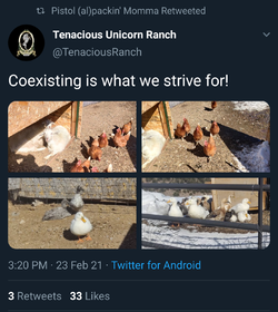 79574736.png
