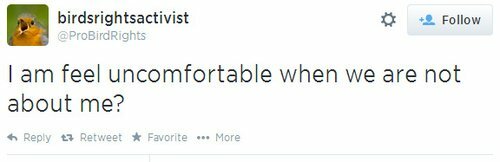 CVq9UeVUYAAEBT-.jpg
