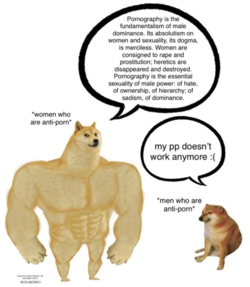 81986b1b4da62e3c7b48e8fd469f032f6bdef8c2.png