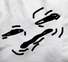 1613741667755.png