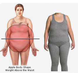 apple real shape.PNG