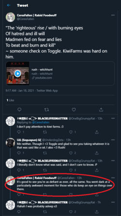 21.png
