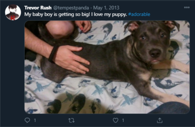 Dog_2.png