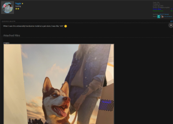Screenshot_5.png