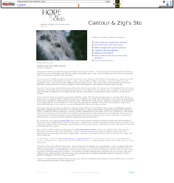 HopeForHorses_Spink_1.png