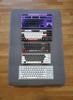 91qnfpf005b61.jpg