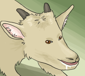 unknown (2).png