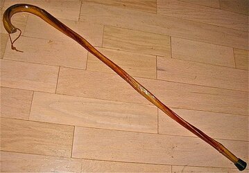 BullPenisCane_Etsy-630x439.jpg