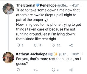 Screenshot_20210304-211811_Twitter.jpg