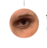 20210305_103536.png