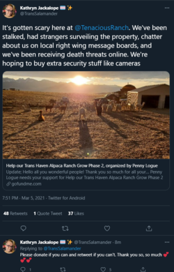 1614974391344.png