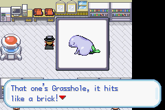 Pokemon_Clover_Screenshot_15.png