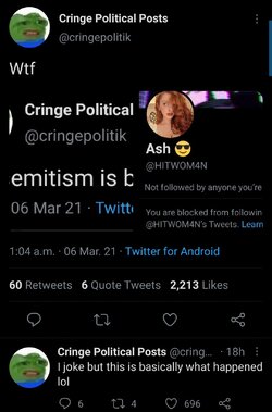 Screenshot_20210306-193318_Twitter.jpg