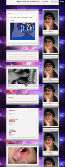 robert1.png