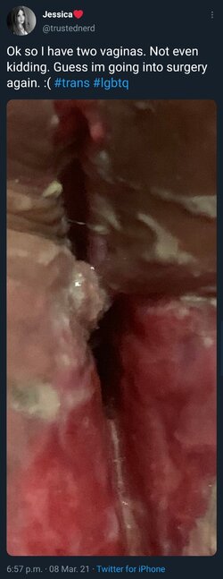 Screenshot_20210308-191413_Twitter.jpg