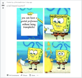 SSP 04.png