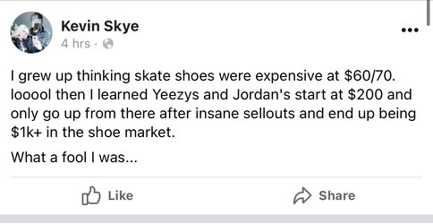 kev skate shoes.jpeg