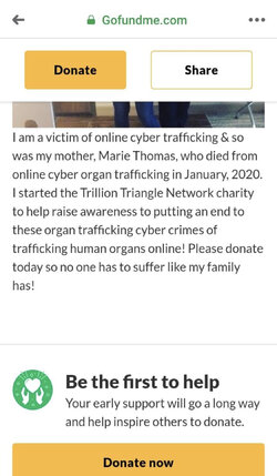 gofundme2.jpg