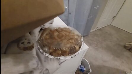037B7C63-E987-47EF-9EDD-C5FC5D241D2F.jpeg